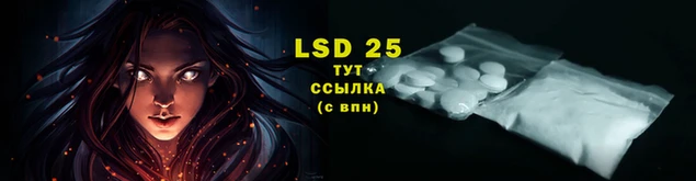 a pvp Аркадак