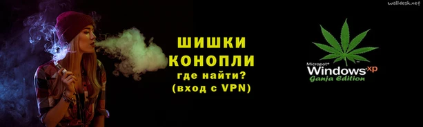 прущие грибы Армянск