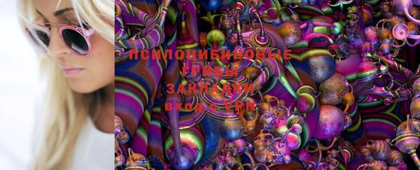 прущая мука Арсеньев