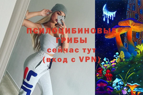 прущая мука Арсеньев