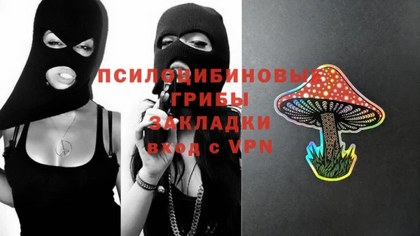 прущая мука Арсеньев
