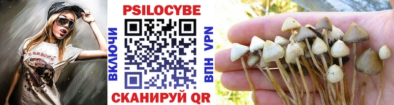 Купить  Ревда  Галлюциногенные грибы Psilocybe 